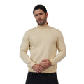 Men's Casual High Neck Sweatshirt (Biscotti)